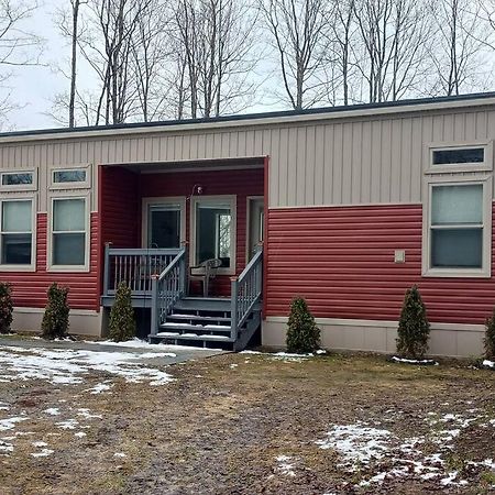 Secluded Lodge In The Woods. Iron Mountain Exterior photo